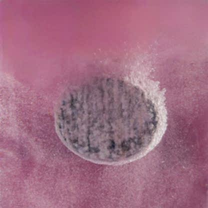 Çok Amaçlı Temizleyici Tablet