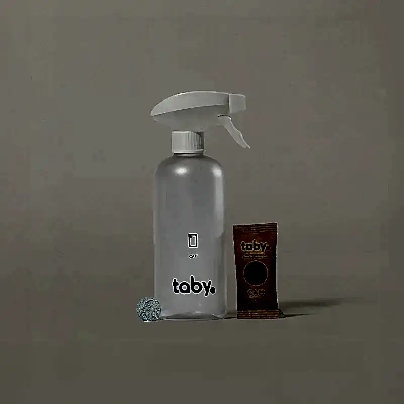 Cam/Ayna Temizleyici Başlangıç Seti