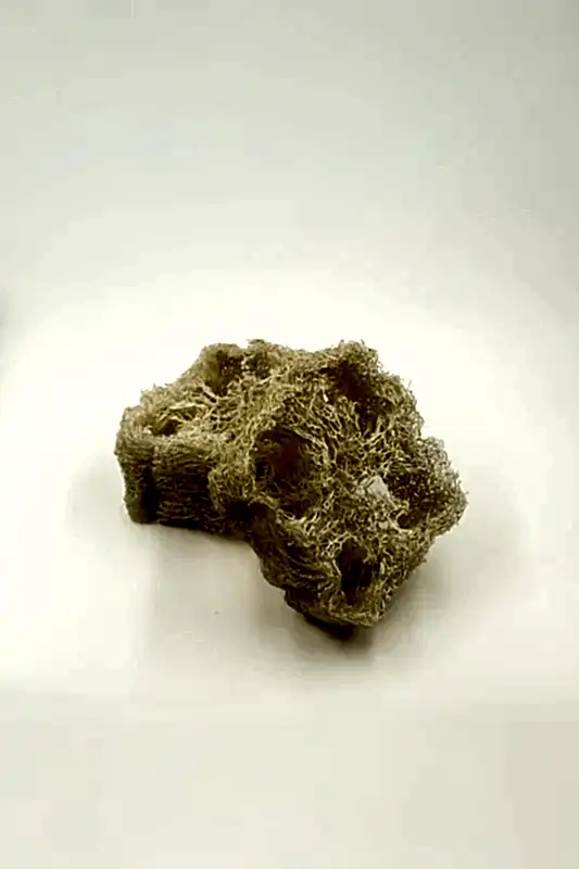 Doğal Kabak Lifi 2'li