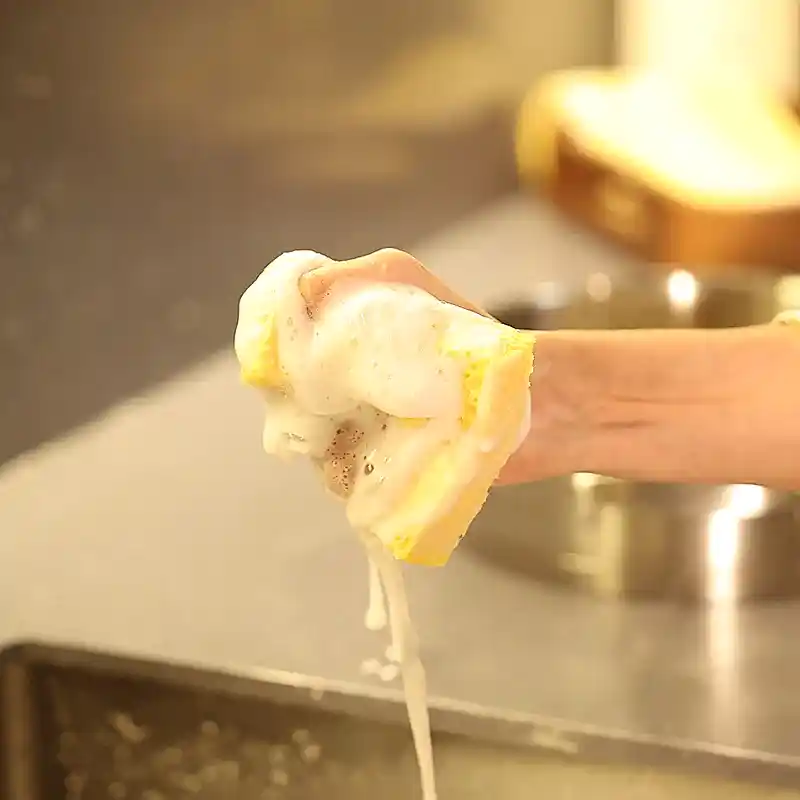 Mutfak Temizleyici Başlangıç Seti